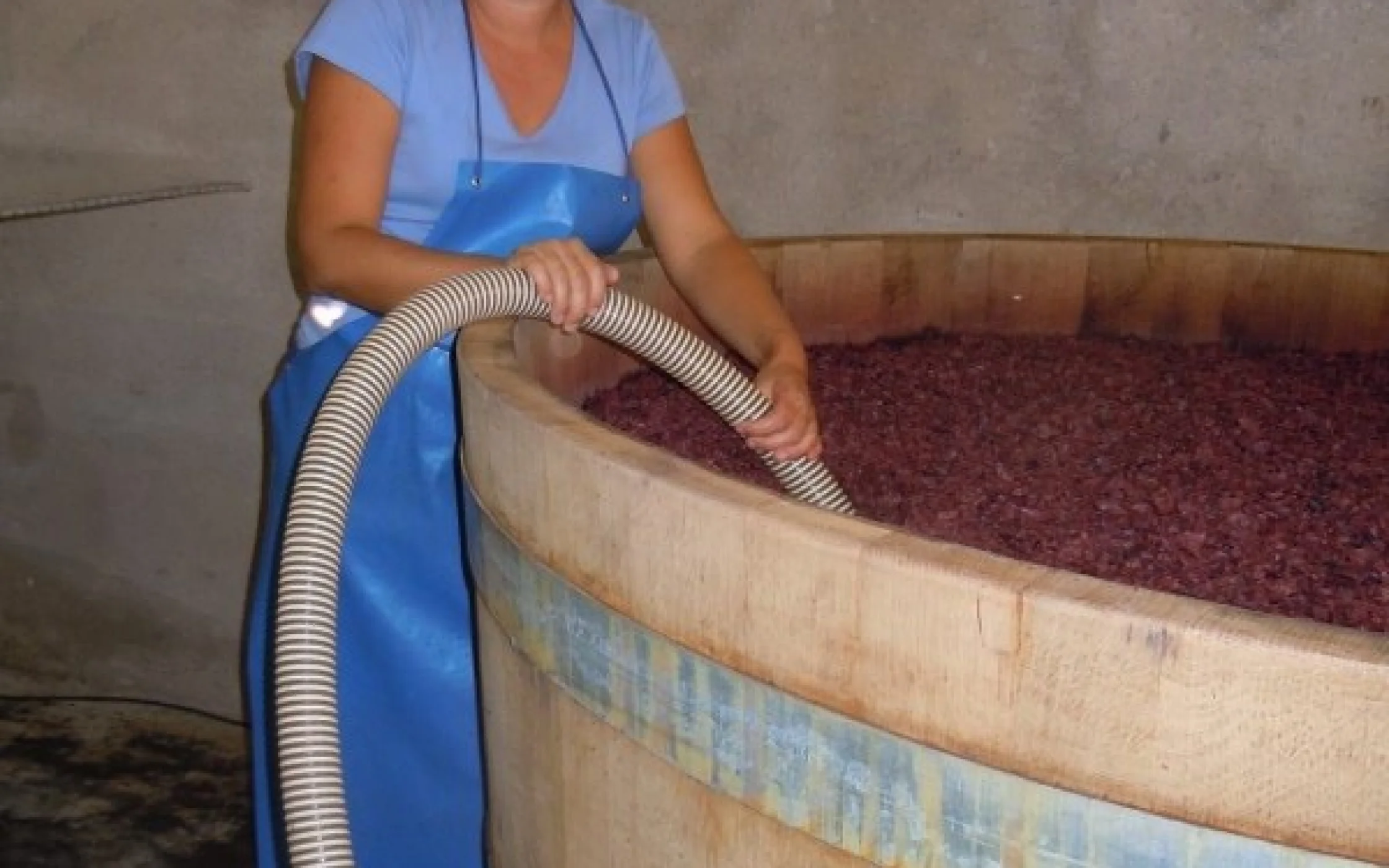 Margareth Marchetti_27 09 12_15 44_1348753496_800x600.jpg